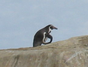 Ranu Raraku